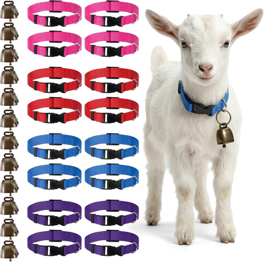 Gindoor Maquita 12 pack goat collars with bells front view showing four assorted colors