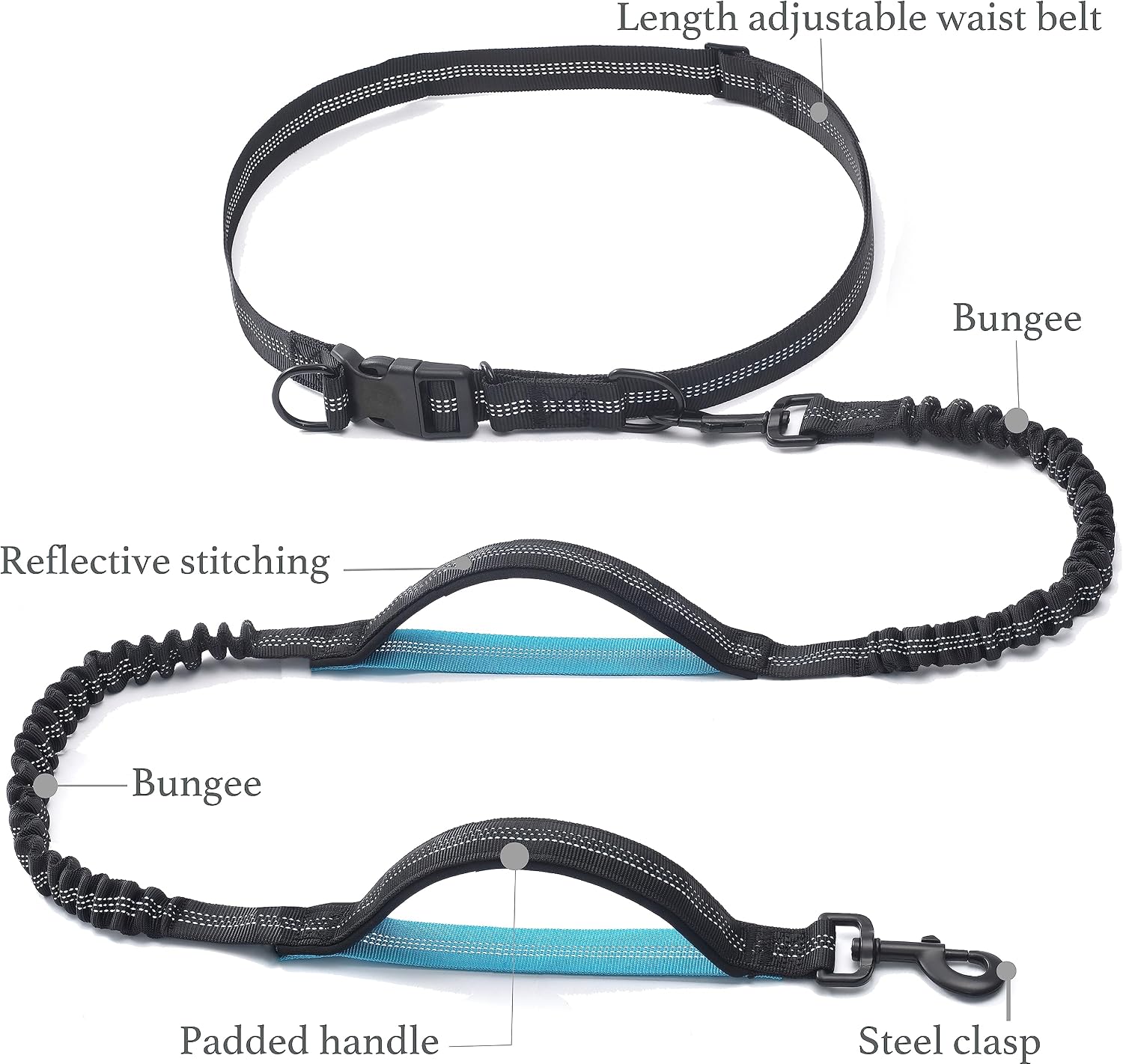 Heavy duty bungee shock absorber on IyoShop leash