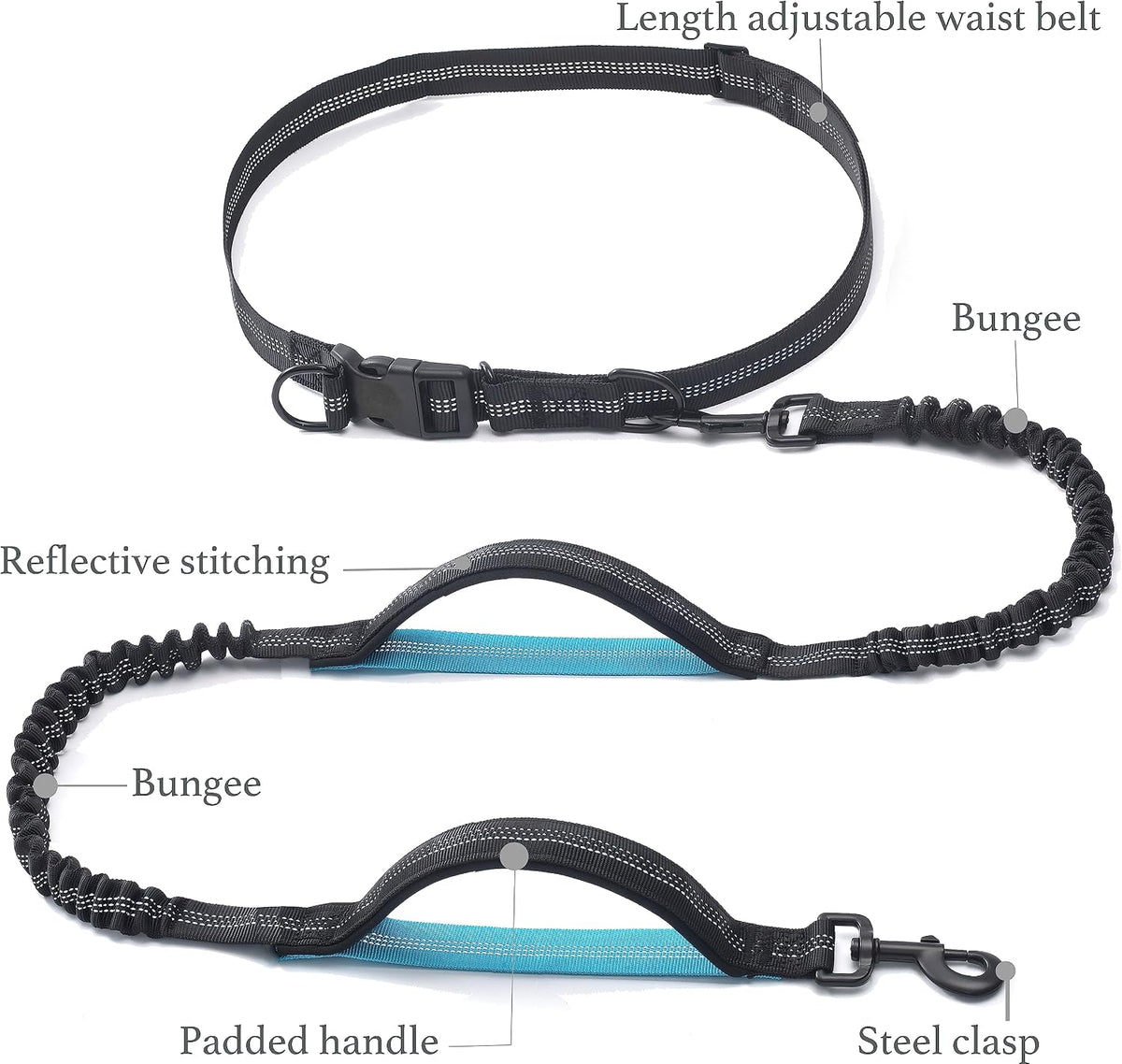 Heavy duty bungee shock absorber on IyoShop leash