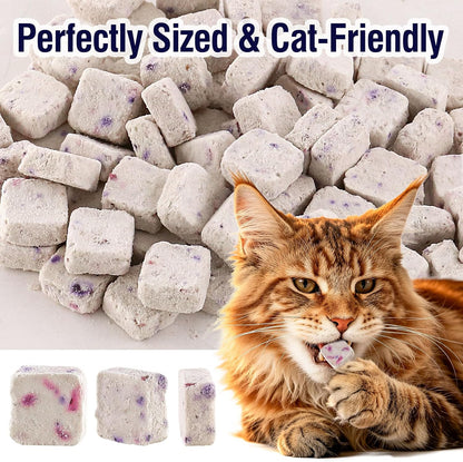 Authentic Havenfly USA imported pet treats back label information