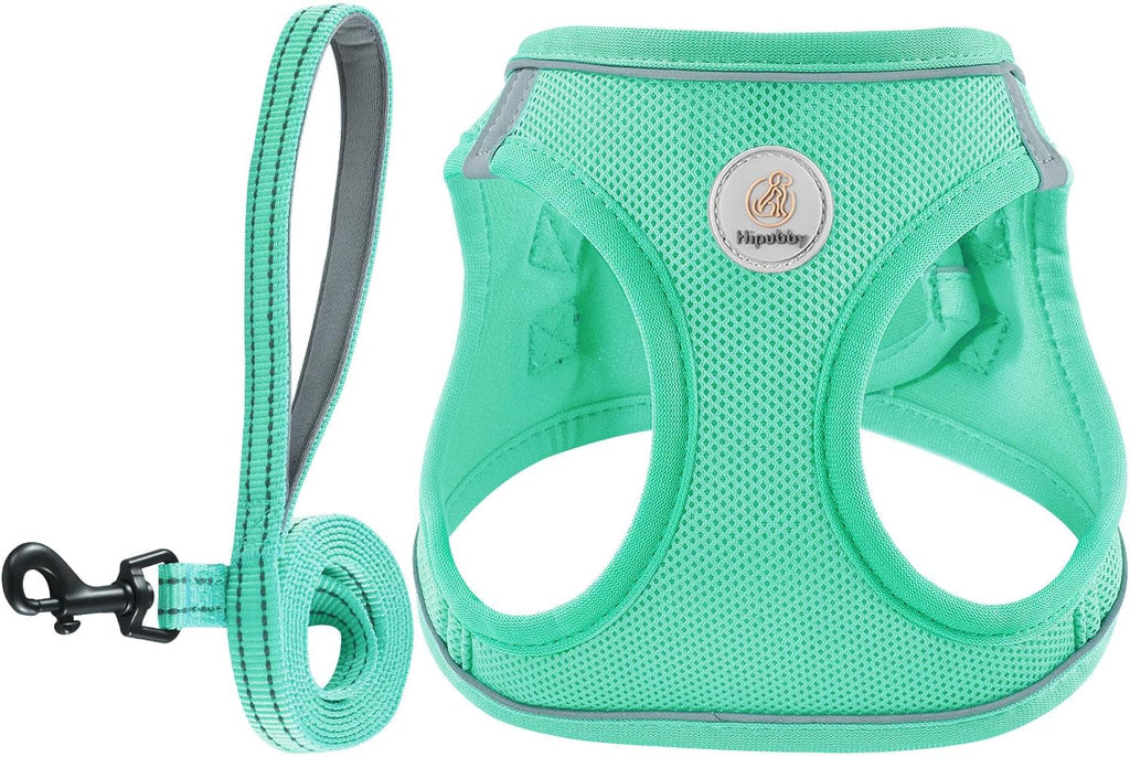 Hipubby Dog Harness and Leash Set, No Pull Soft Mesh Puppy Harness for Small Medium Dogs, Cats - Step in Reflective Breathable Lightweight Vest Harness for Walking, Training - Pink, XS - Image 14