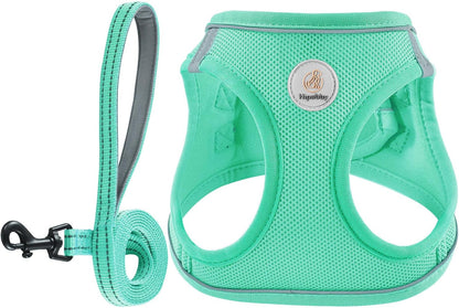 Hipubby Dog Harness and Leash Set, No Pull Soft Mesh Puppy Harness for Small Medium Dogs, Cats - Step in Reflective Breathable Lightweight Vest Harness for Walking, Training - Pink, XS - Image 14