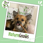 Low odor grain free dental treats for small dogs from Nature Gnaws.