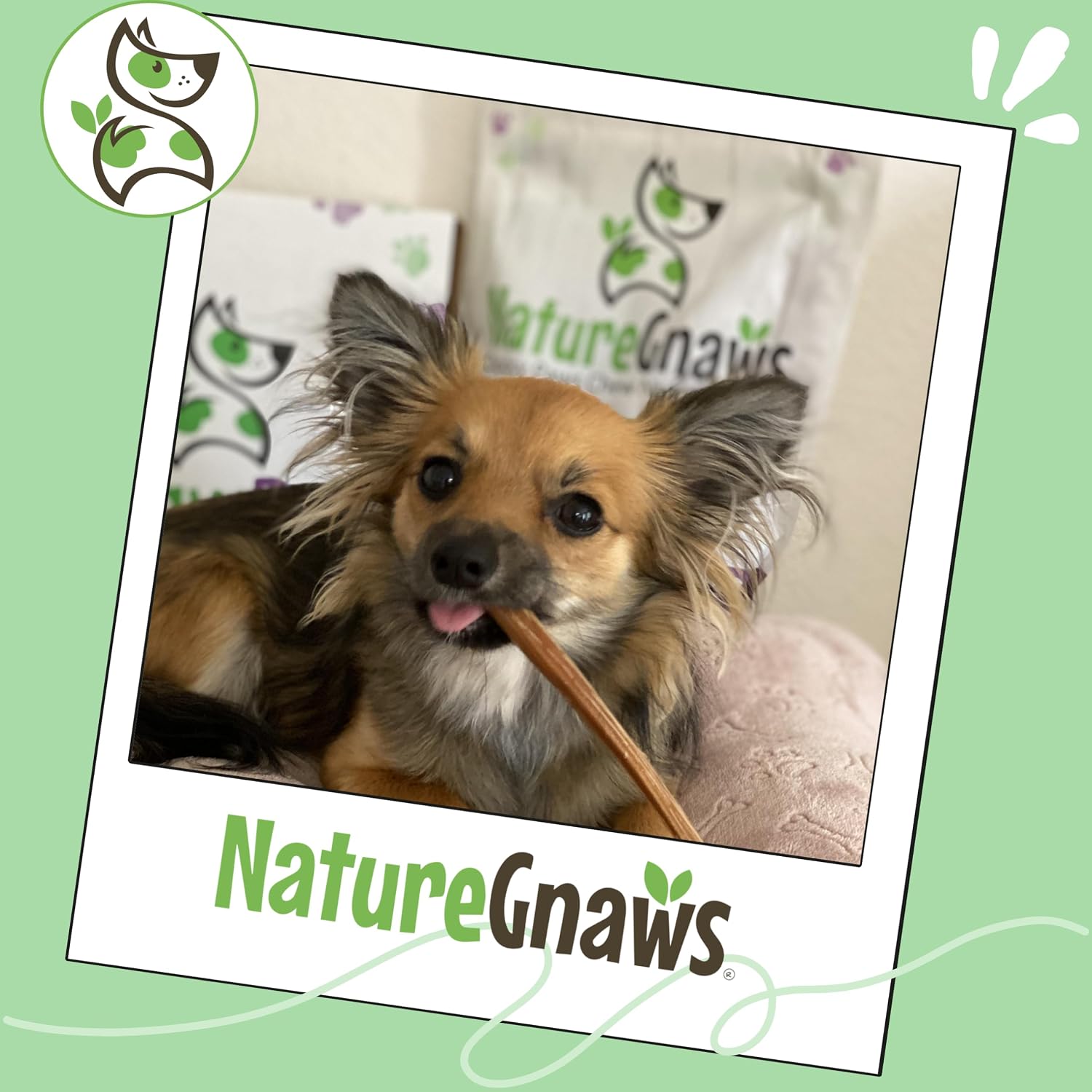 Low odor grain free dental treats for small dogs from Nature Gnaws.