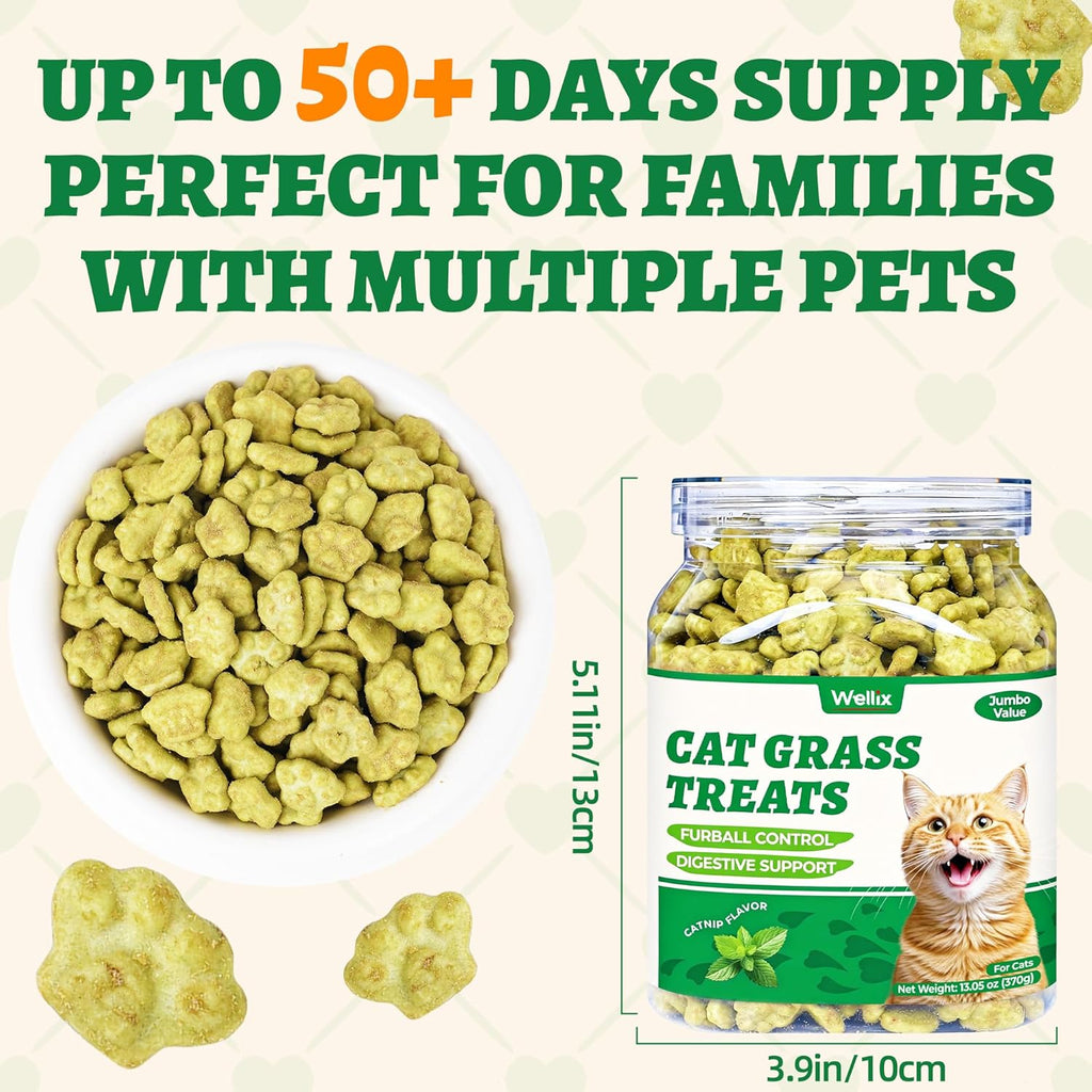 Kitten training snacks with dental cleaning benefits