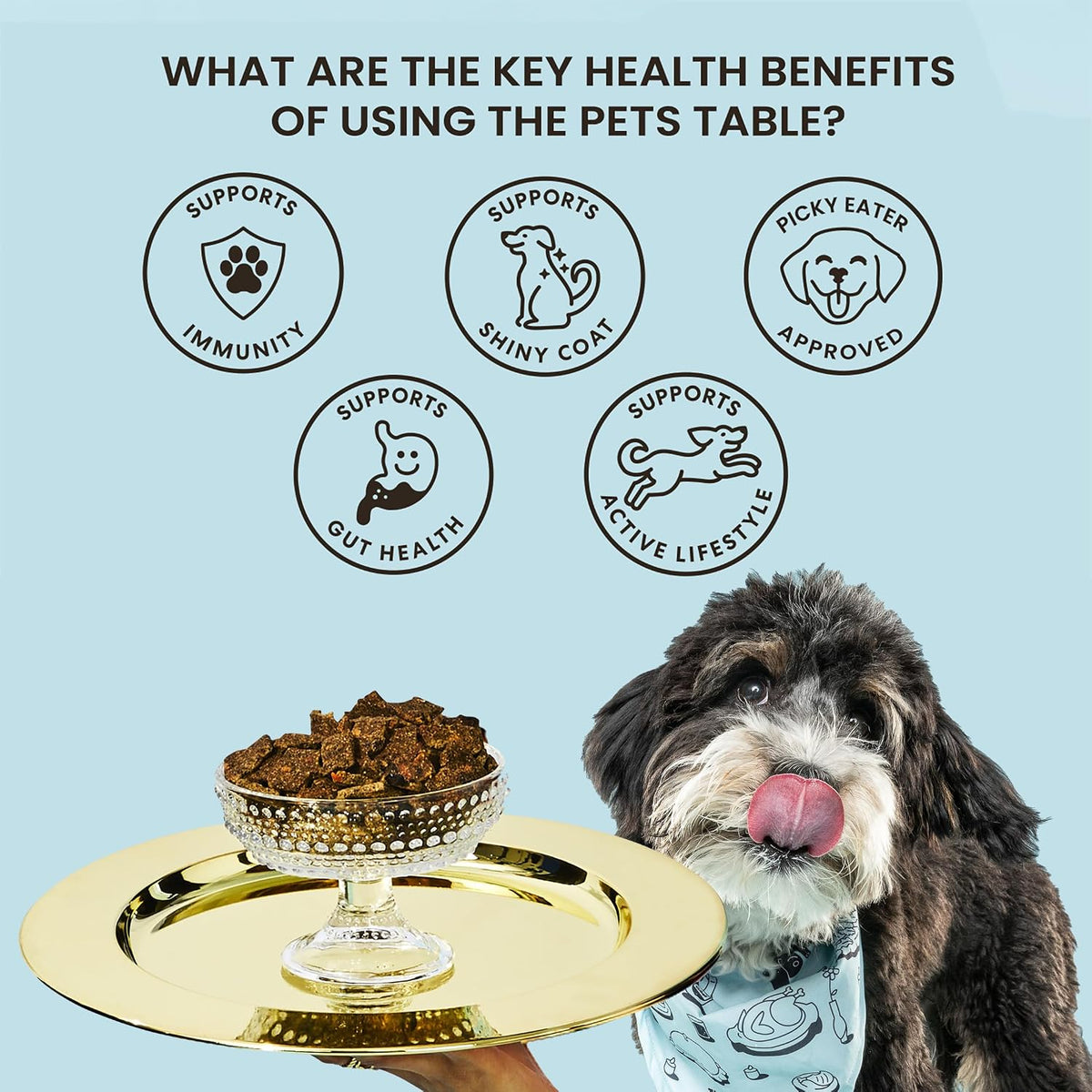 Air dried natural dog food with pumpkin for healthy digestion visual presentation