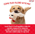 Multipet Lamb Chop dog toy with five squeakers