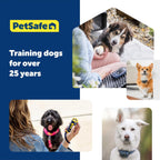 PetSafe Collarless Trainer Ultrasonic Bark Deterrent Handheld Anti Bark Device High-pitched Sound, Flashing Light and Variable Tone Rechargeable Battery Flashlight Wrist Strap - Image 9