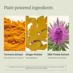 Dose for Your Liver Cleanse Detox & Repair, 16oz Bottle, 3 Pack | Organic Milk Thistle Liver Supplement with Turmeric, Dandelion, Ginger, Orange, Supports Healthy Liver Function - Image 3