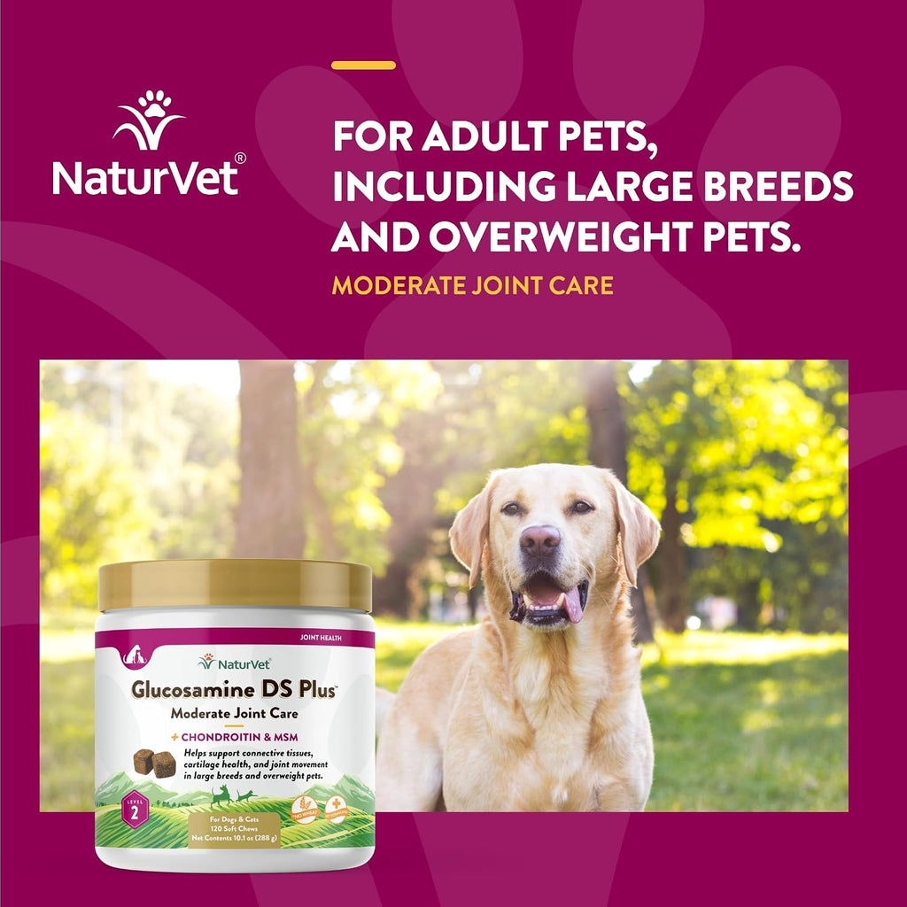 Authentic USA imported NaturVet joint care supplement for pet mobility and cartilage support