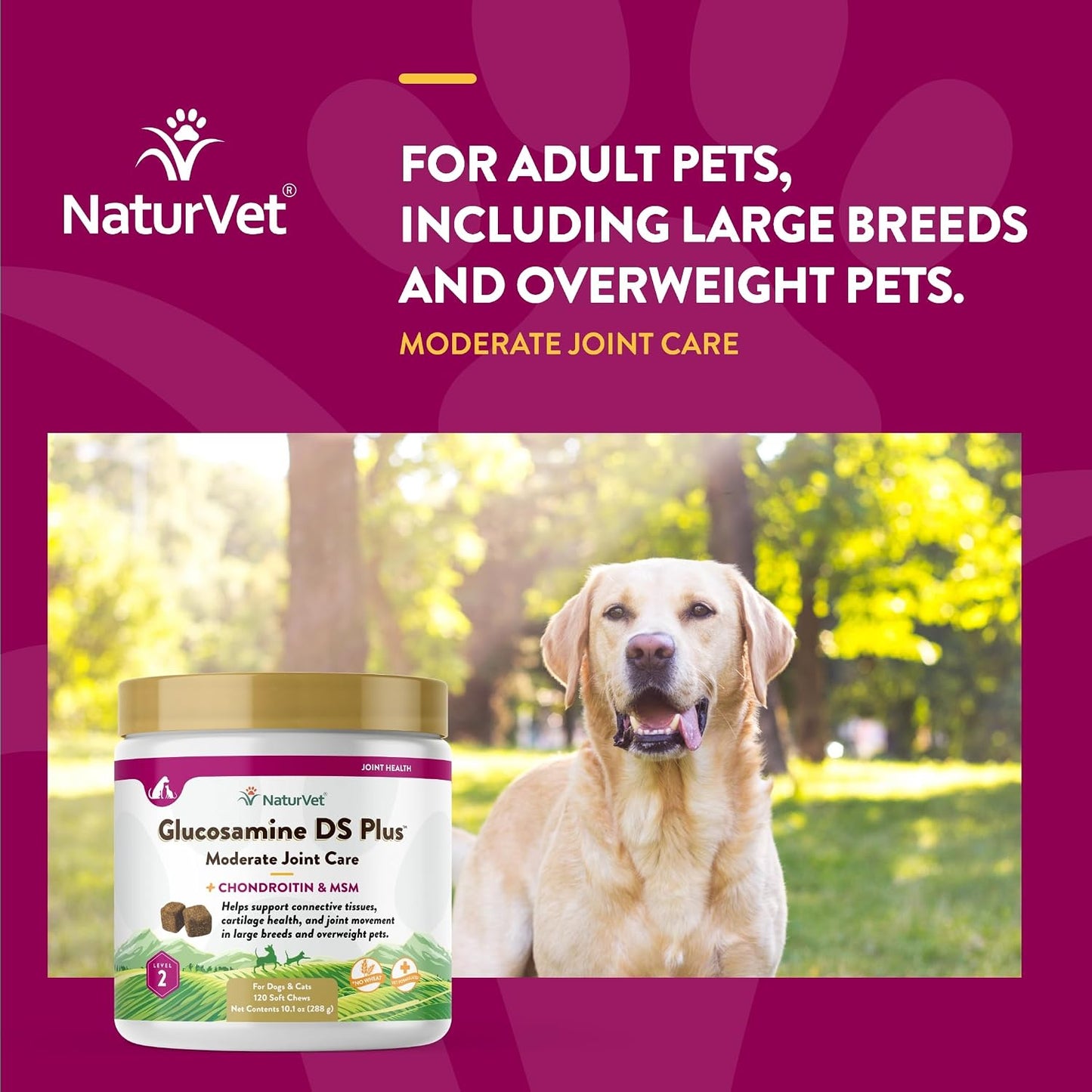 Authentic USA imported NaturVet joint care supplement for pet mobility and cartilage support