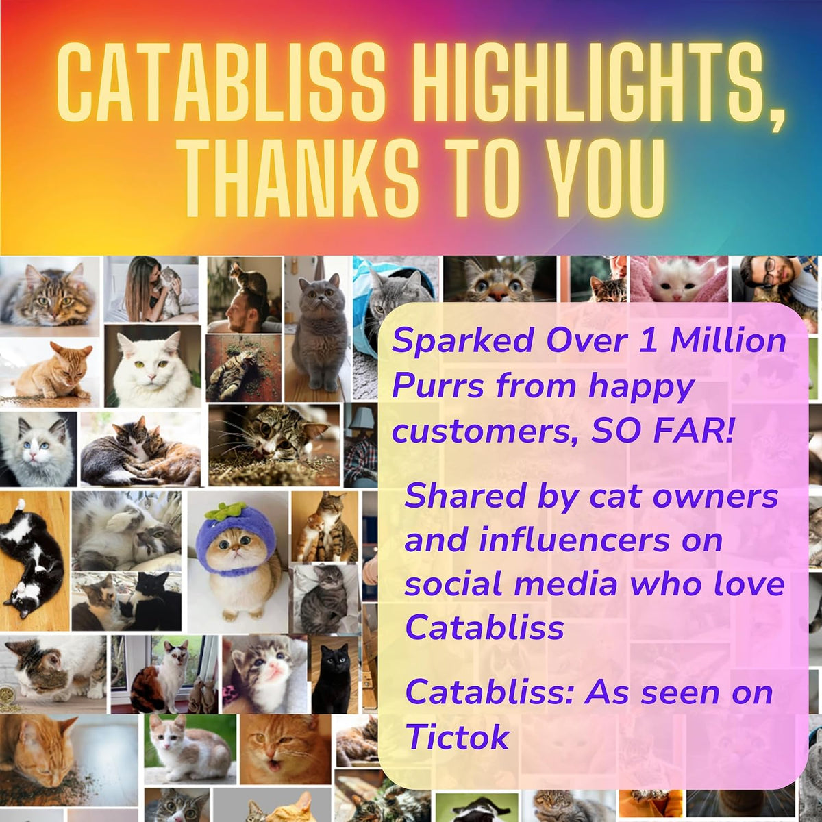 Catabliss natural pet herb jar for training and play