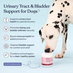 Pawfy cranberry and D-Mannose soft chews for senior dog kidney health.
