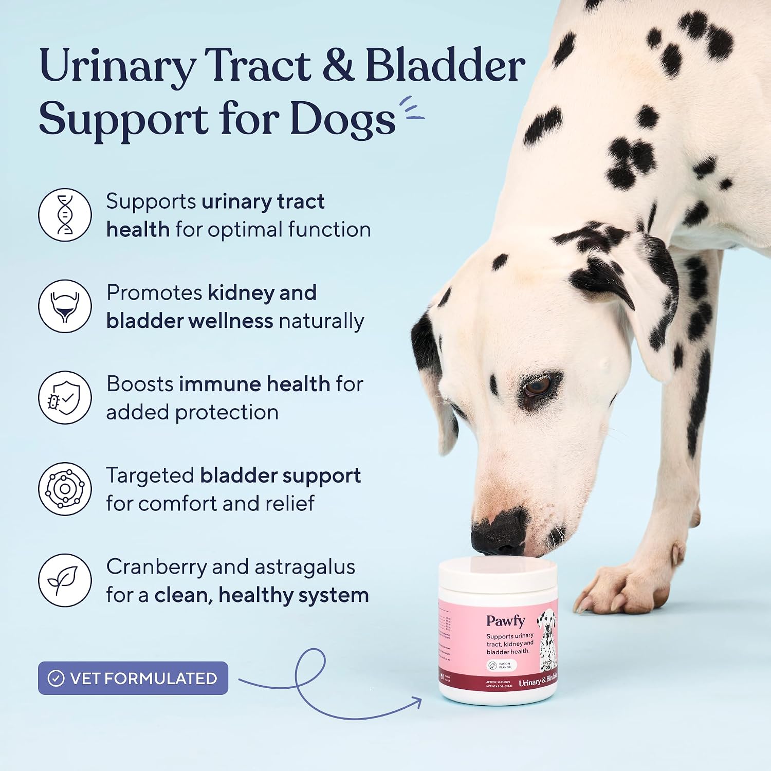 Pawfy cranberry and D-Mannose soft chews for senior dog kidney health.