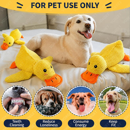 Voxget calming duck toy packaging and product design
