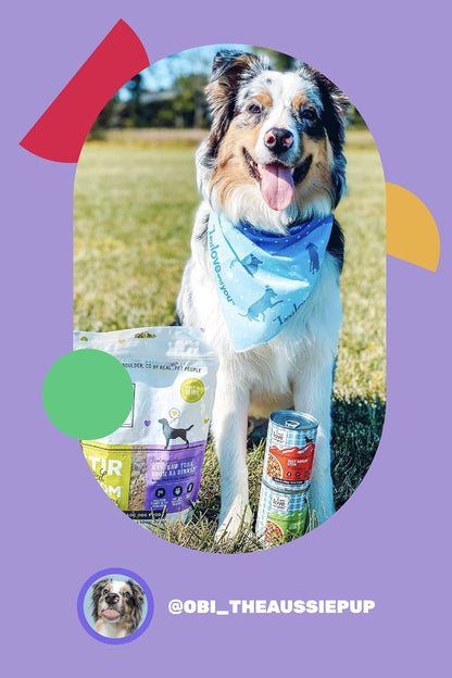 Authentic I and love and you imported pet food variety pack cans