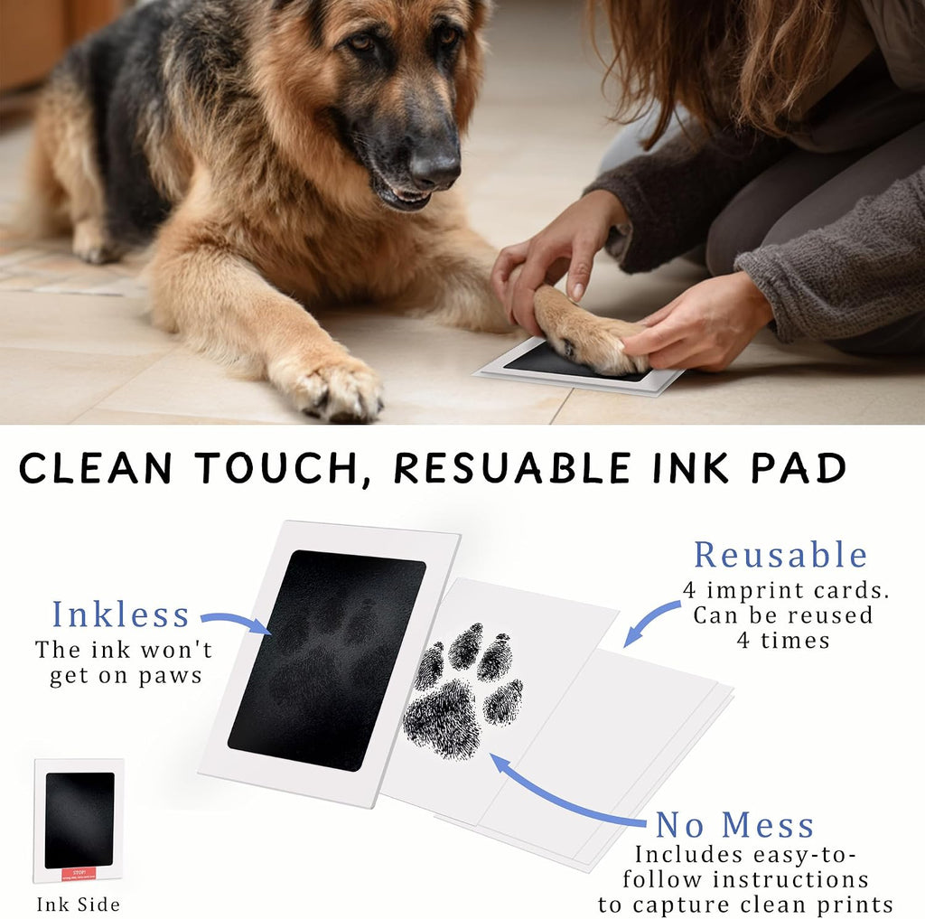 MYPAWLETS pet memorial frame kit showcasing the personalization tools and alphabet stamps for clay customization