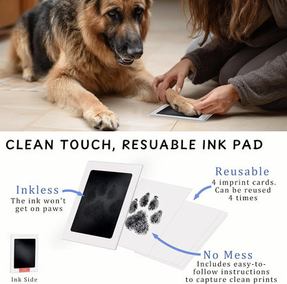 MYPAWLETS pet memorial frame kit showcasing the personalization tools and alphabet stamps for clay customization