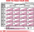 Royal Canin Veterinary Diet Canine Renal Support Early Consult Adult Dry Dog Food, 5.5 lb Bag - Image 9