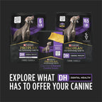 Healthy dog chewing Purina Pro Plan Veterinary Diets OraChews