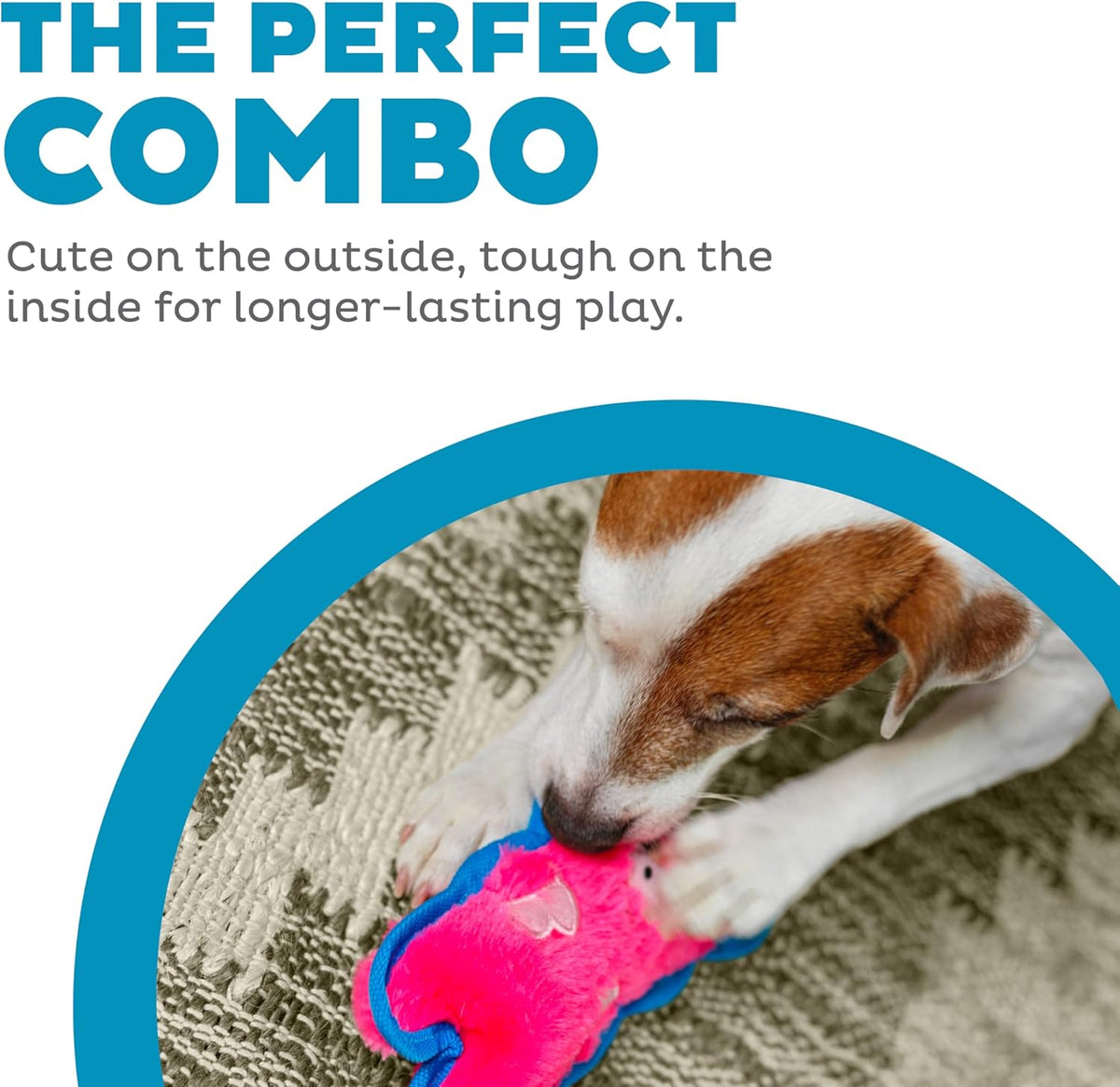 Stuffingless pink pig puppy chew toy with blue border