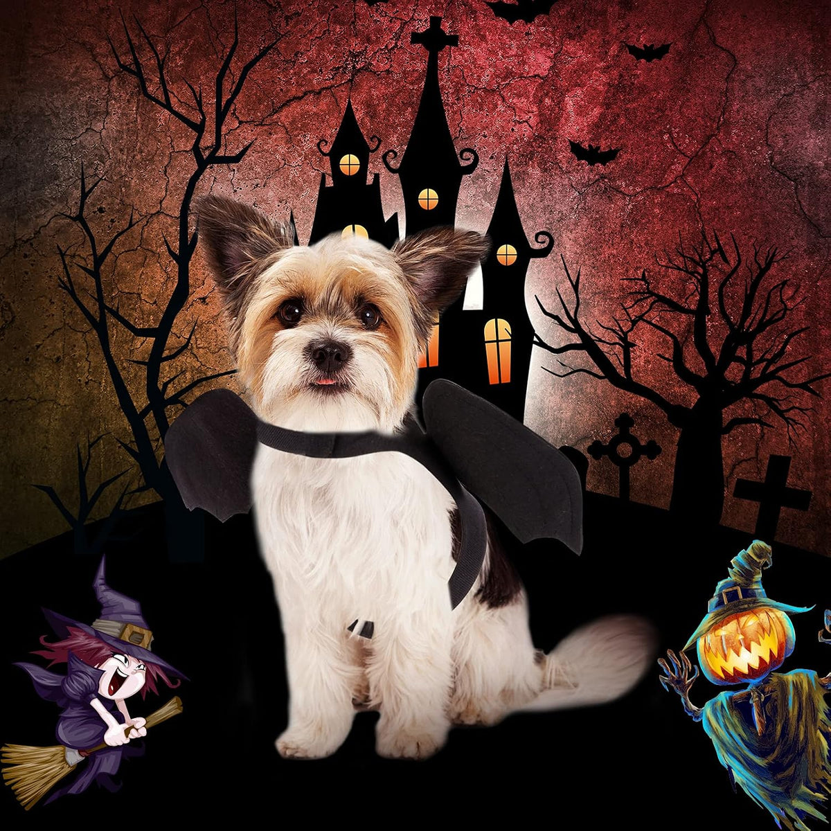 Rypet Halloween bat wings costume displayed flat on neutral background