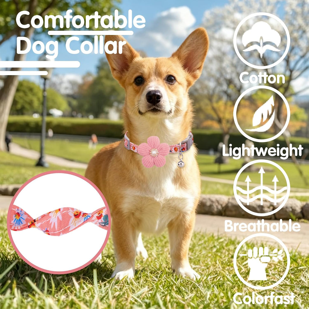 Cozirae branded flower dog collar side profile