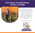 Instructional view of Sidekick dog leash and head halter