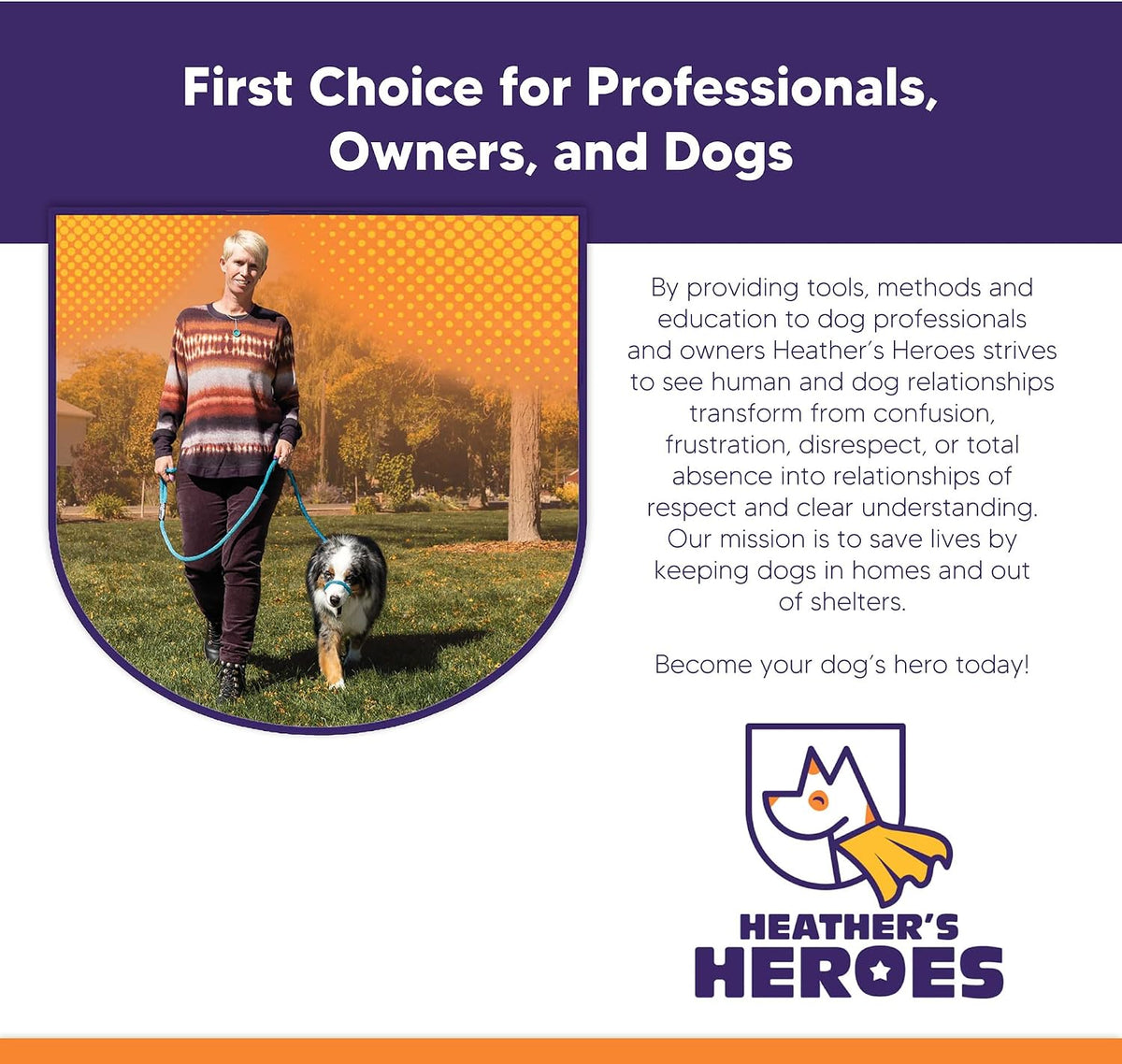 Instructional view of Sidekick dog leash and head halter