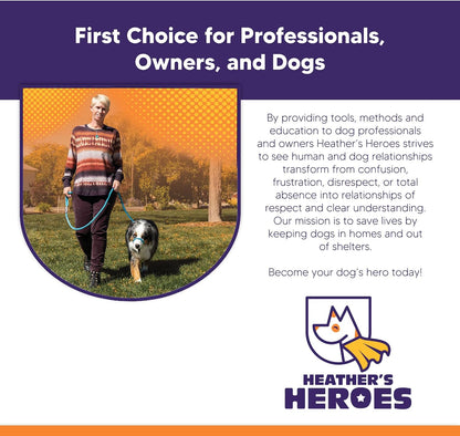 Instructional view of Sidekick dog leash and head halter