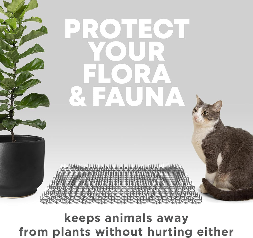 Petfolio spike mat garden plant protection demonstration