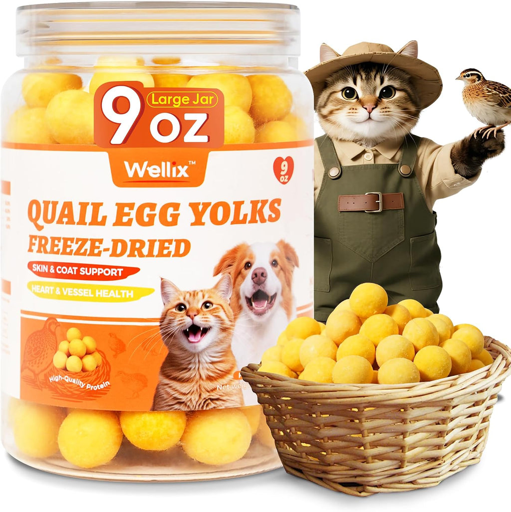 Wellix Freeze-Dried Treats for Dogs and Cats - SunnyBites Freeze Dried Chicken Cat Treats for Indoor Cats - Supports Immunity&Gut Healthy for Training Kitten Snack 3.5oz - Image 12