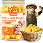 Wellix Freeze-Dried Treats for Dogs and Cats - SunnyBites Freeze Dried Chicken Cat Treats for Indoor Cats - Supports Immunity&Gut Healthy for Training Kitten Snack 3.5oz - Image 12