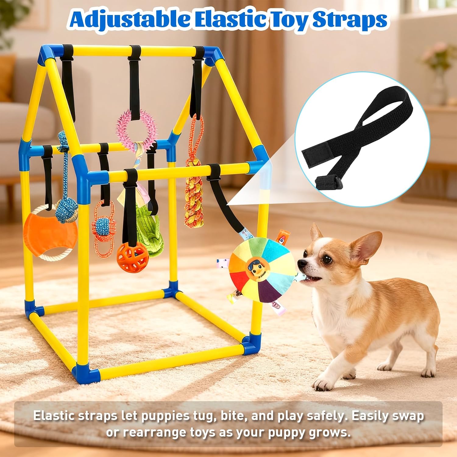 Tynexal canine activity center with nine detachable sensory toys arranged neatly around the house shaped frame.
