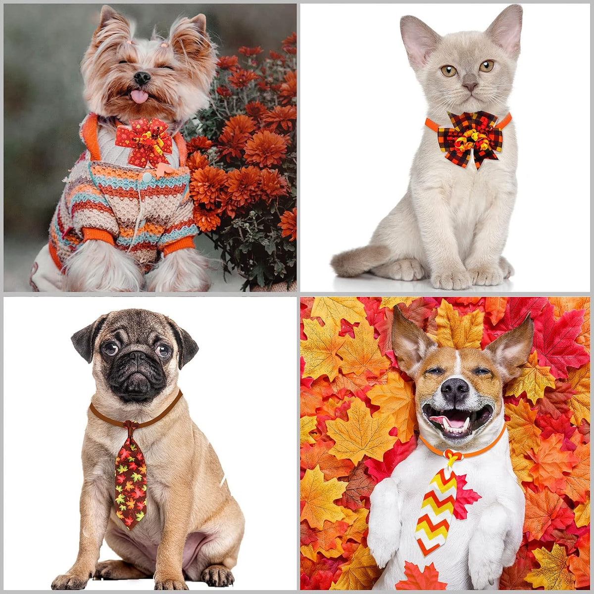 Adjustable autumn puppy neckties from Mruq Pet arranged neatly in a row.
