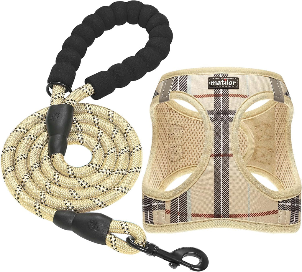 Full matilor harness and matching leash set
