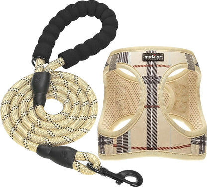 Full matilor harness and matching leash set