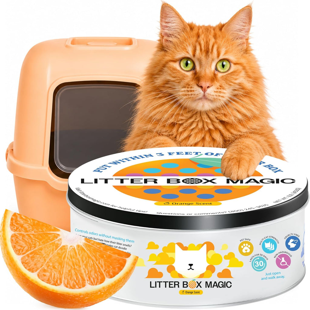 Litter Box Magic Cat Litter Deodorizer (Fresh Scent, 16 Oz, Pack of 1) - Premium Cat Litter Odor Eliminator Gel Jar | Cat Odor & Stain Removers, Urine Odor Eliminator & Pooping Deodorizer, Non Toxic - Image 10