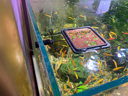 NestBasics authentic imported aquarium feeding station packaging view
