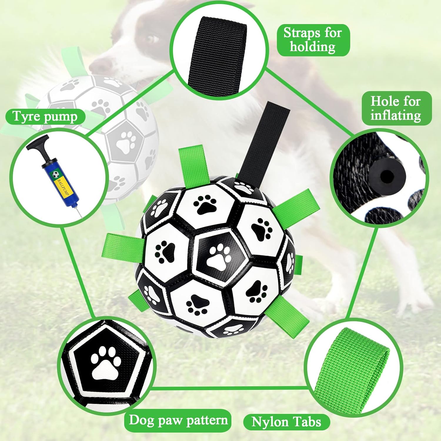 Small dog playing with Amasiver soccer ball in park