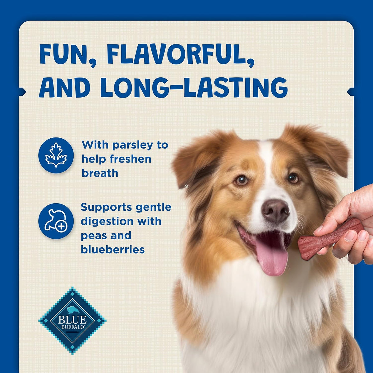 Back of packaging showing ingredients for Regular Dental Bones