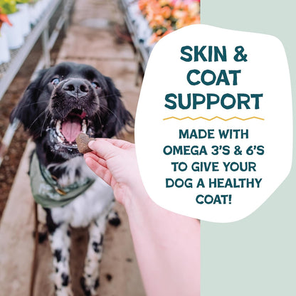 Shameless Pets skin and coat support dog treats side packaging details