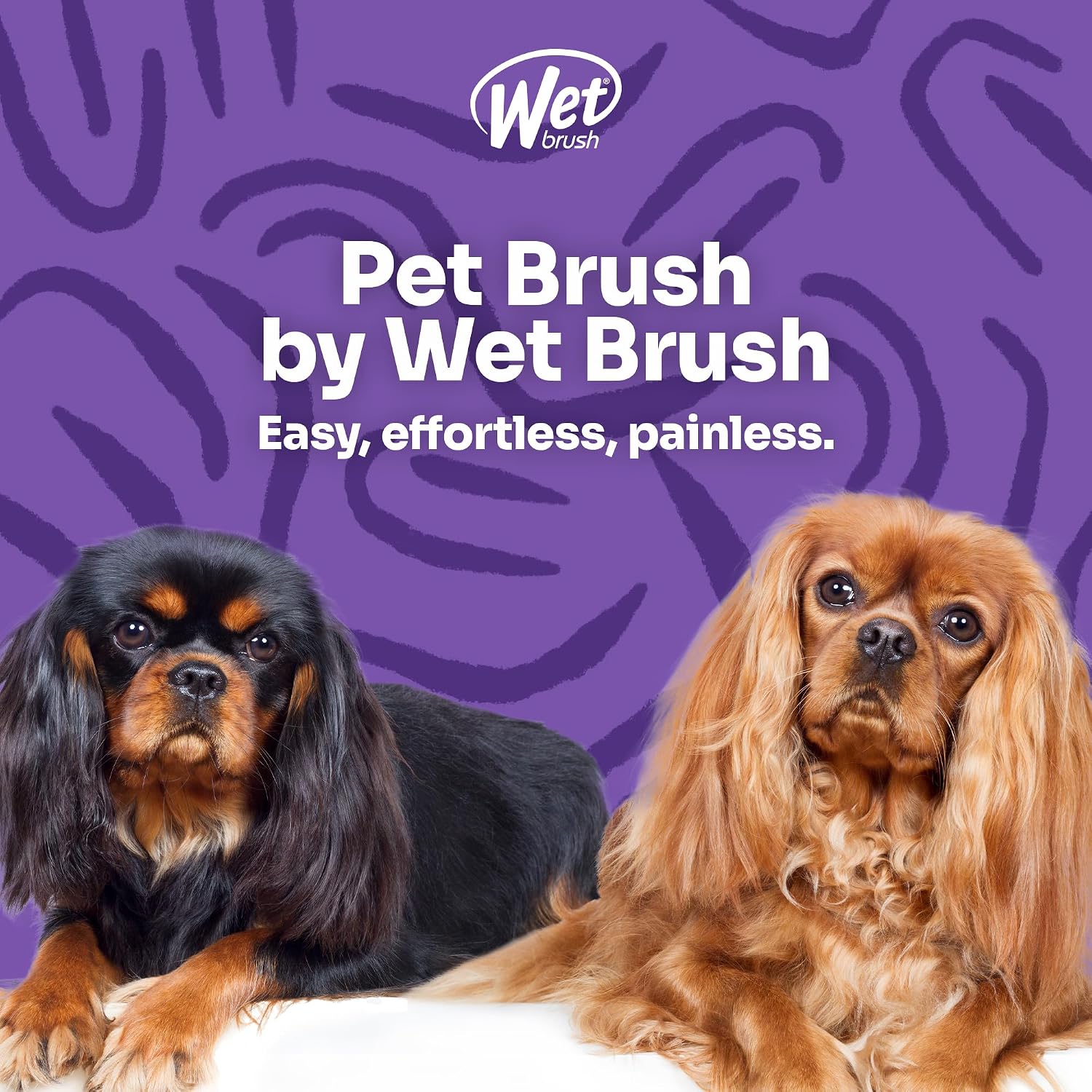 Wet Brush imported pet hair brush packaging and teal design