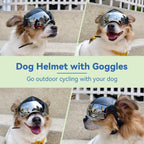 Side profile of small dog wearing protective motorcycle helmet