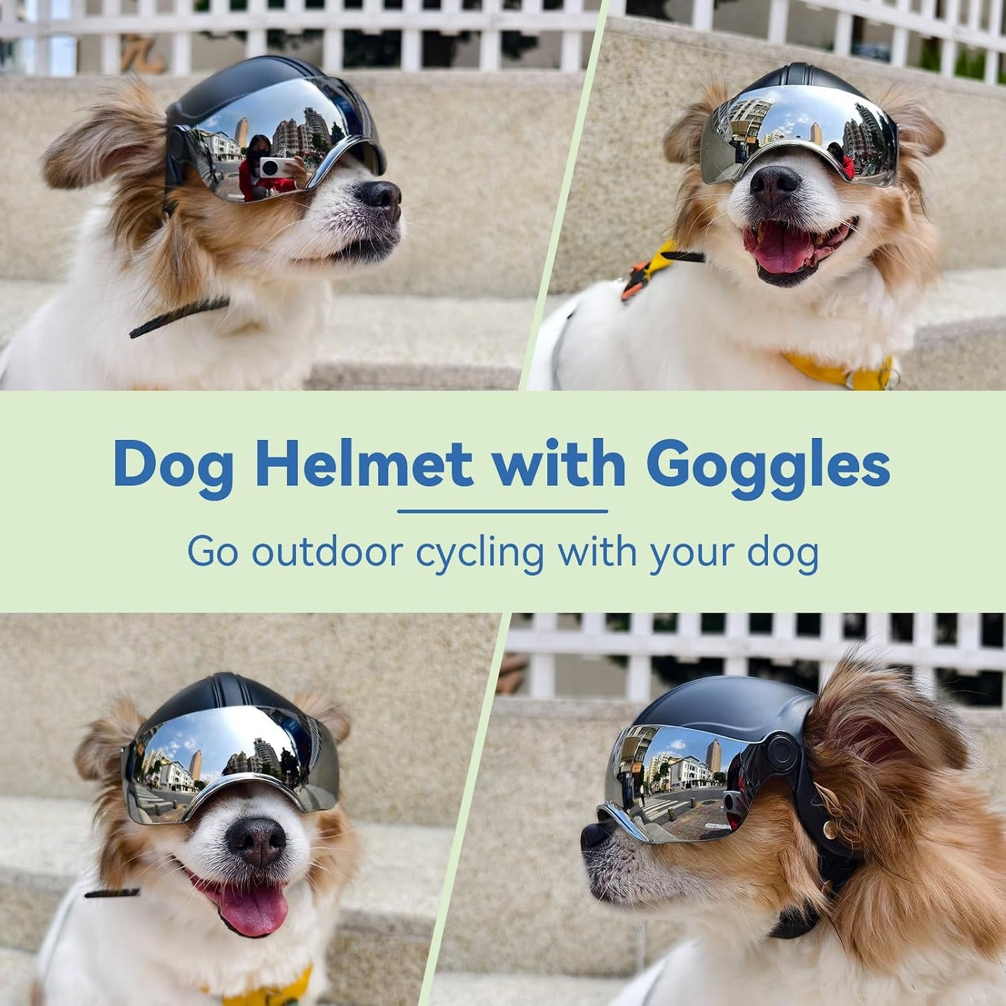 Side profile of small dog wearing protective motorcycle helmet