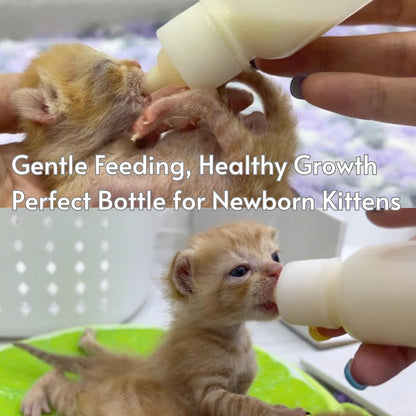Hatelipet clear scale fifty milliliter puppy milk bottle with replacement silicone pacifiers.