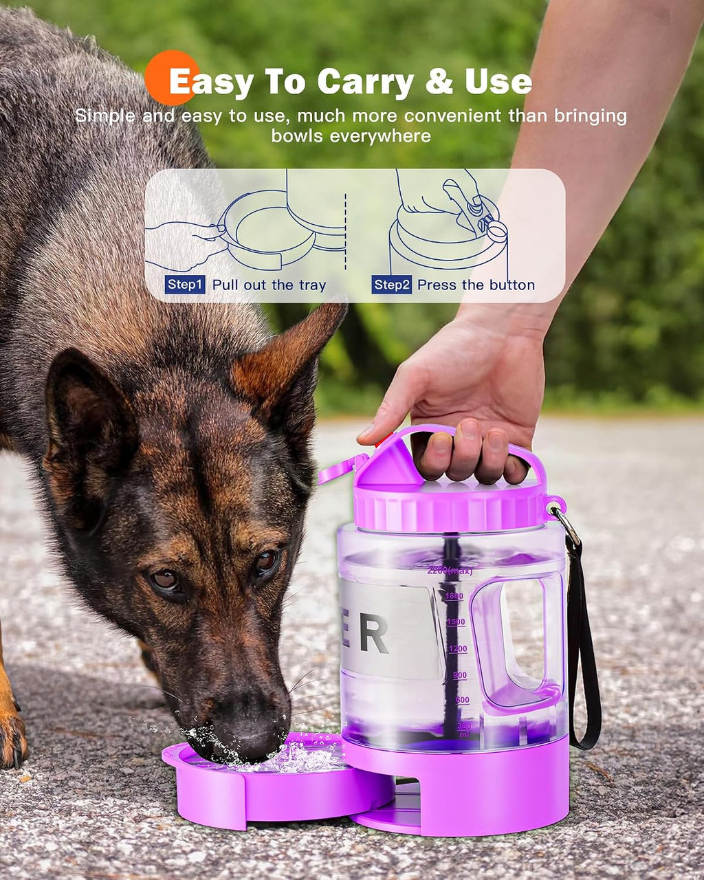 SwSun large dog travel jug showing the clear capacity markings and filled with water.