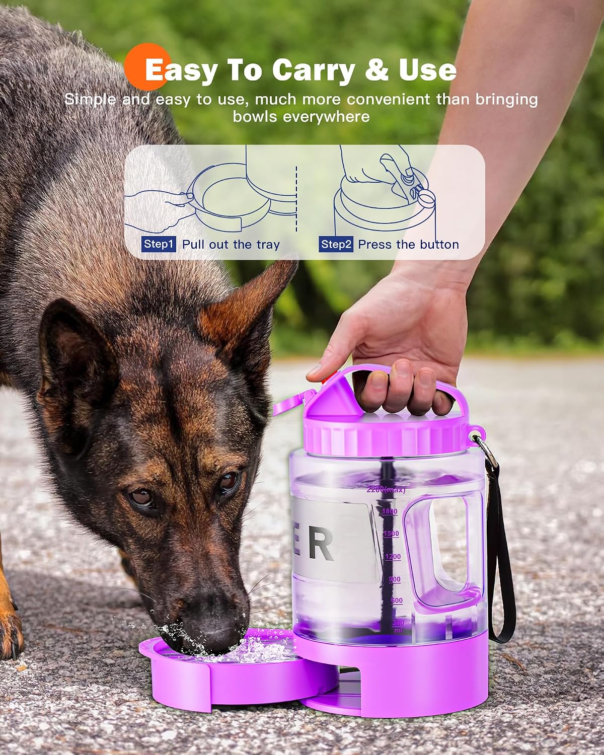 SwSun large dog travel jug showing the clear capacity markings and filled with water.