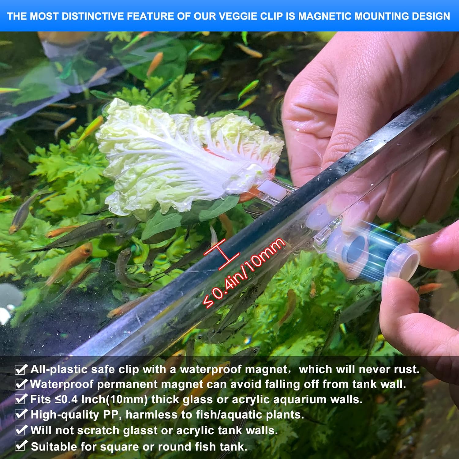 NestBasics 2.44 inch magnetic aquarium veggie clamp showing rustproof construction for marine tank use