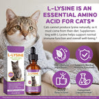 Authentic Bnhulmxw feline respiratory health supplement